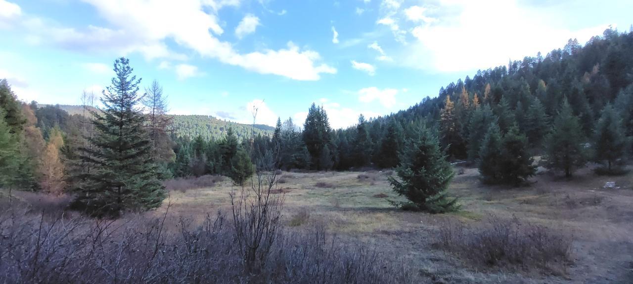 Lot 1213S INGRAM CREEK FOREST SERVICE RD