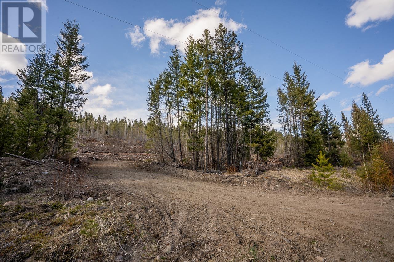 LOT 12 NORTH SHORE HORSE LAKE ROAD