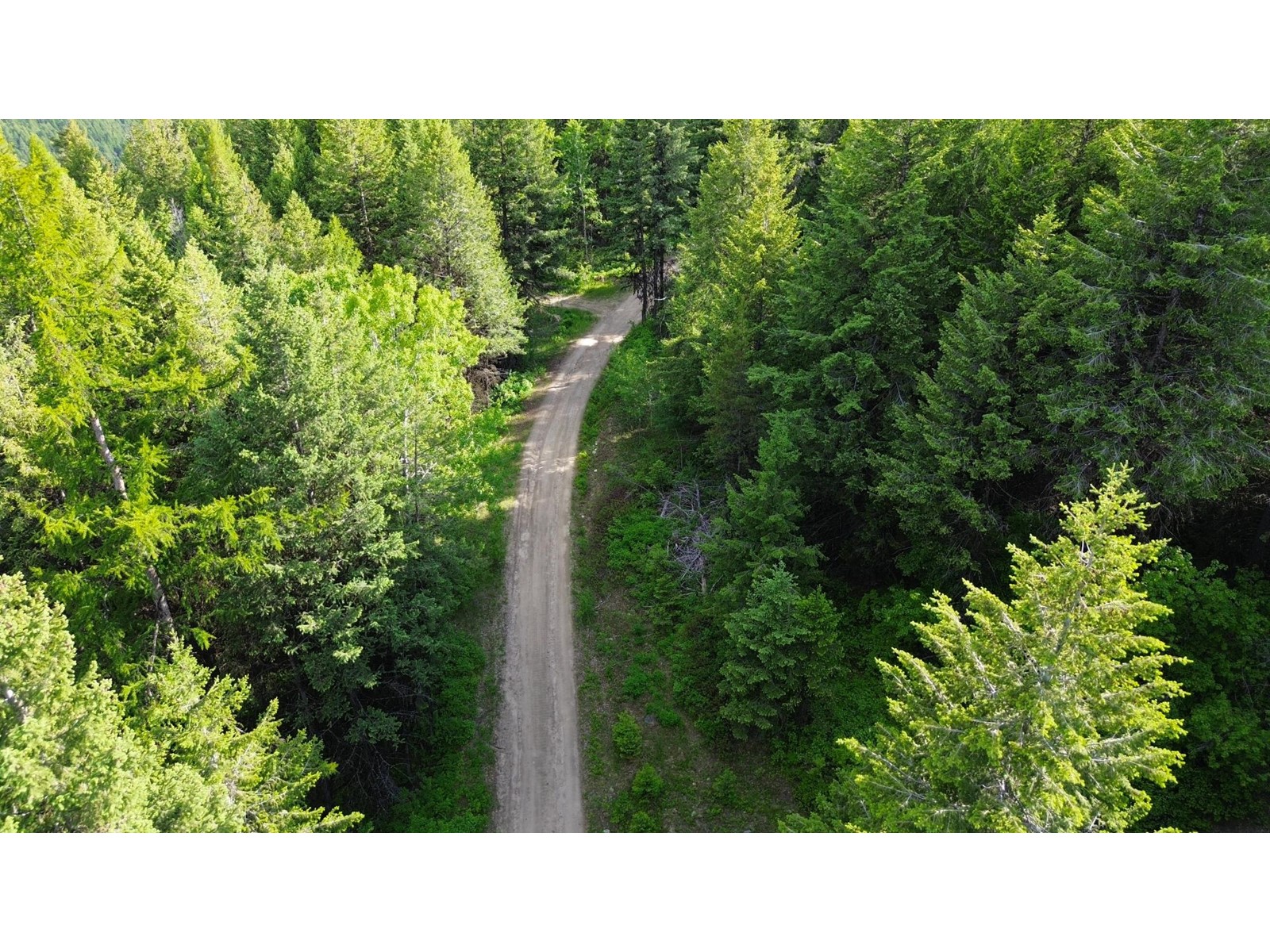 Lot 1827S MORRISSEY CREEK RD