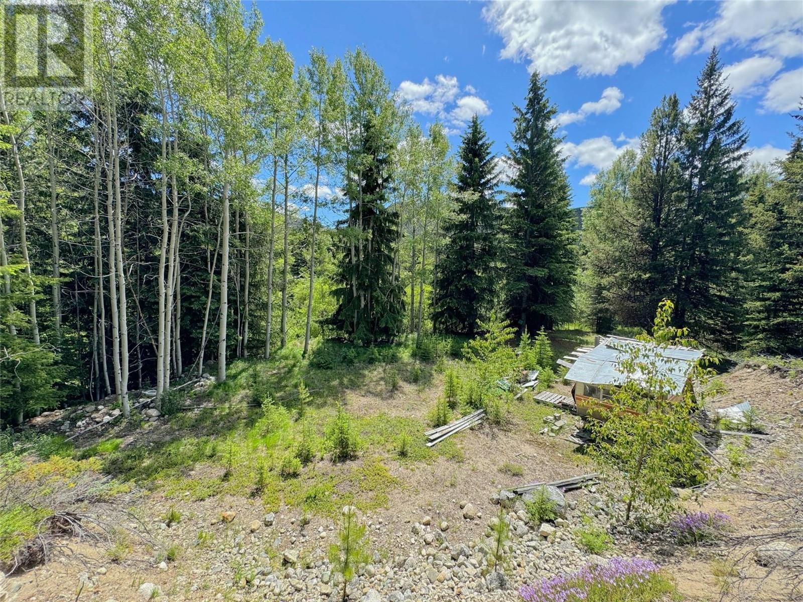 Lot 4 PRINCETON SUMMERLAND Road