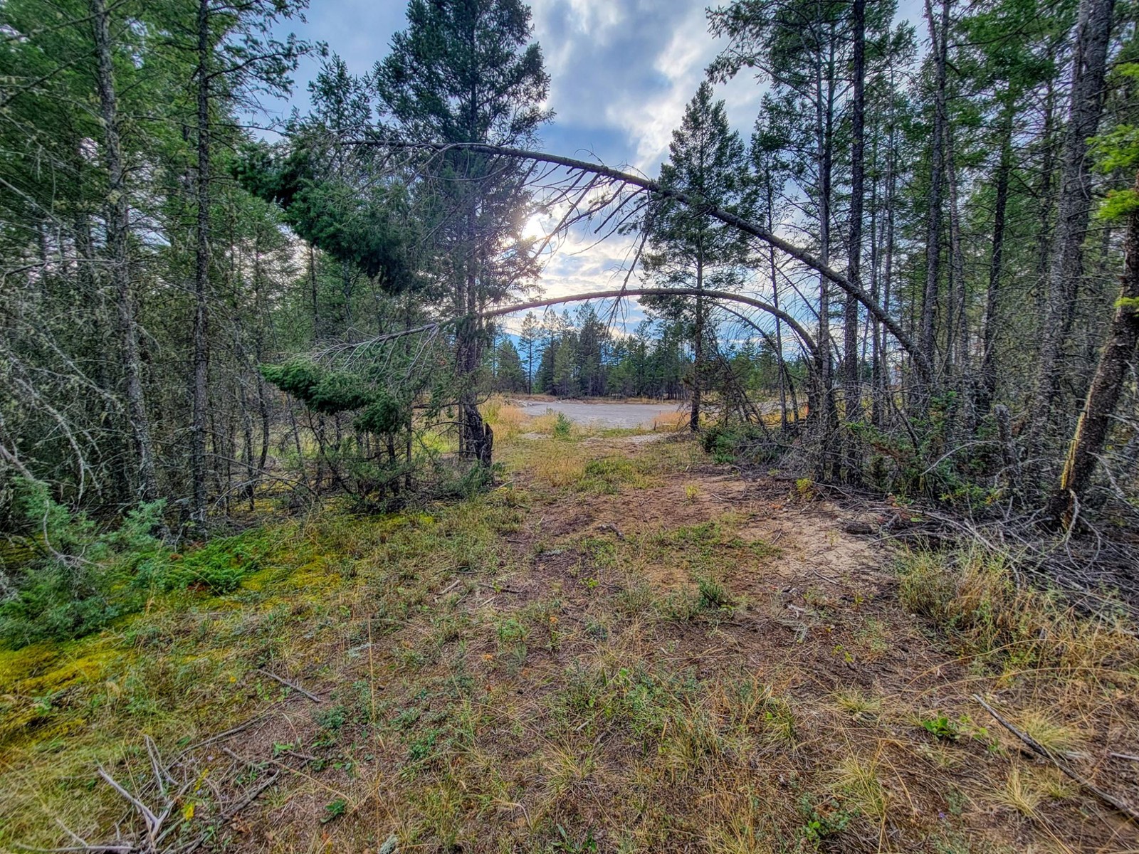 Lot 32 ELKHORN BLVD