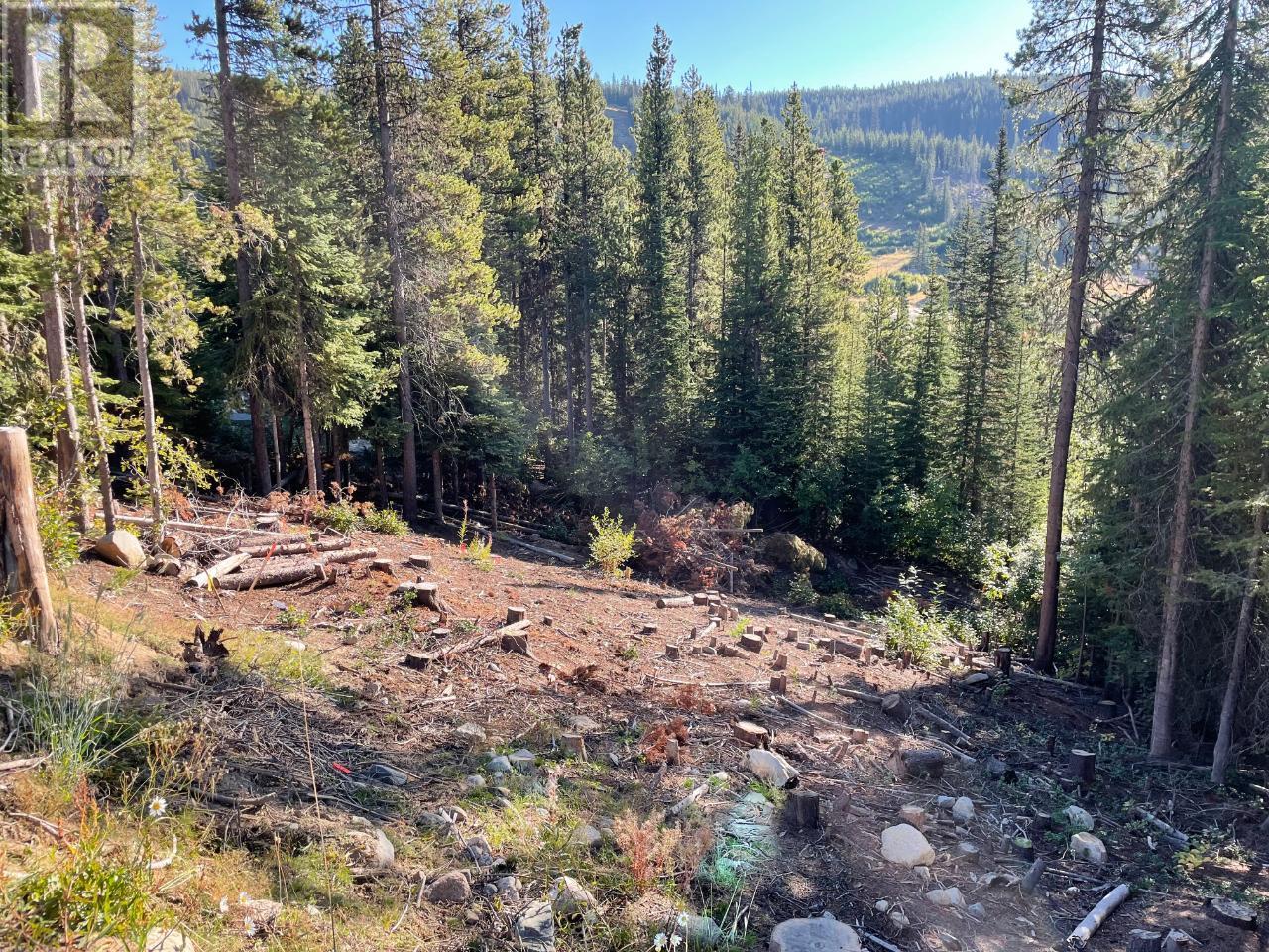 Lot 122 WAPITI CREEK Road